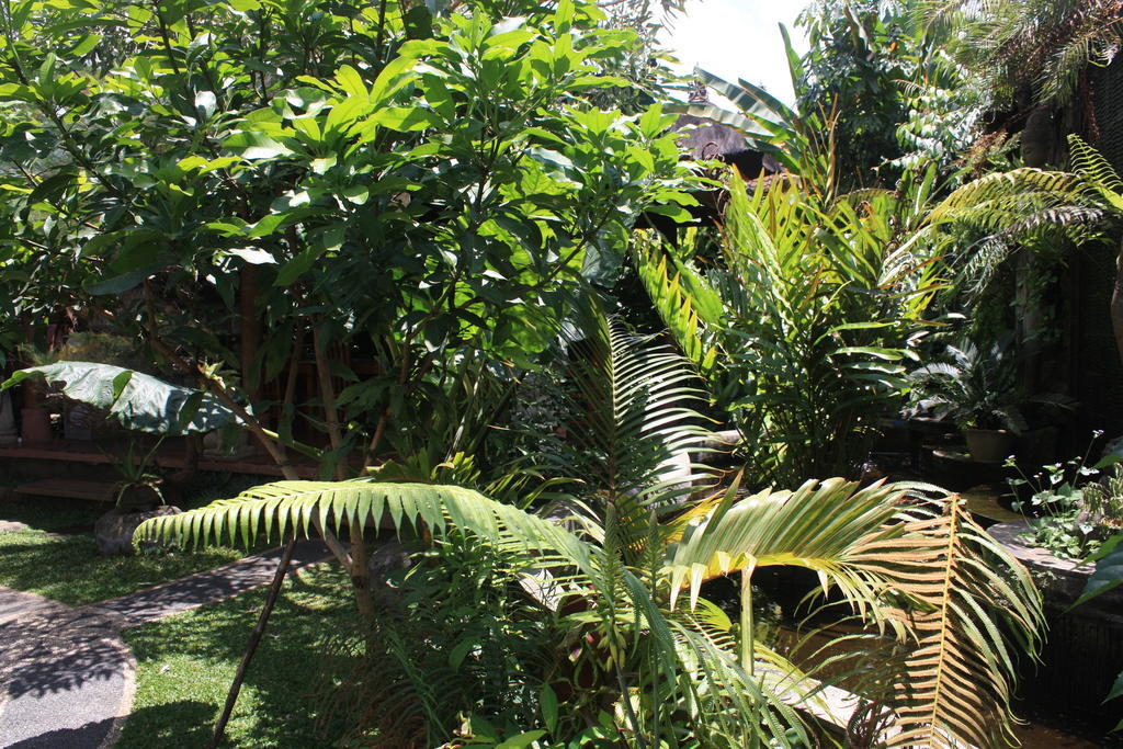 Budi Guest House Ubud Bagian luar foto