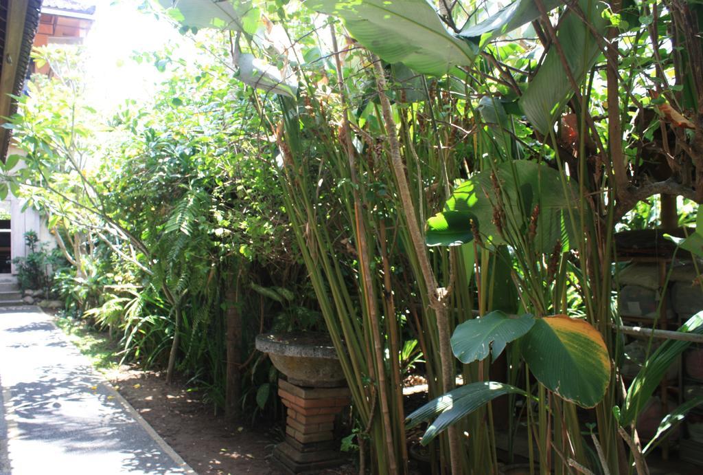 Budi Guest House Ubud Bagian luar foto