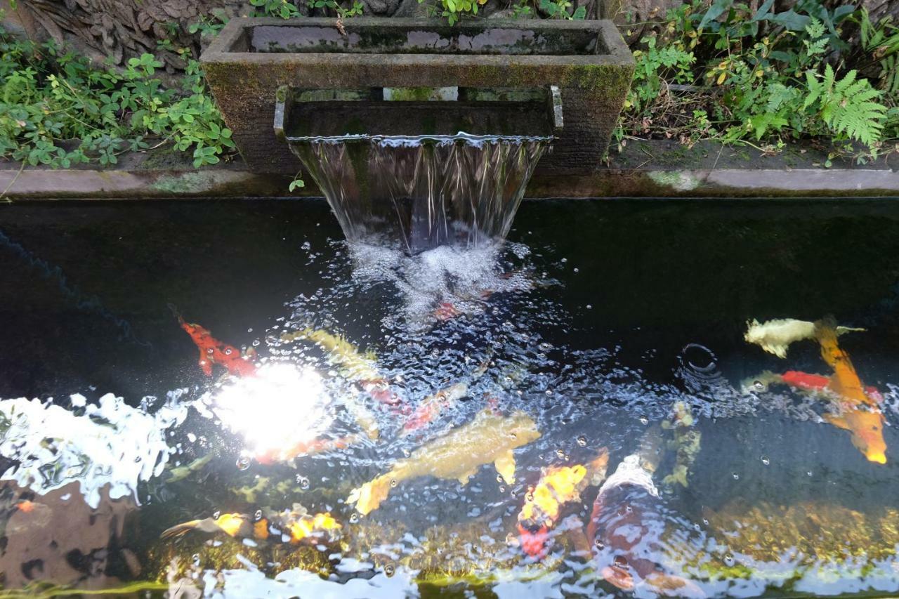 Budi Guest House Ubud Bagian luar foto